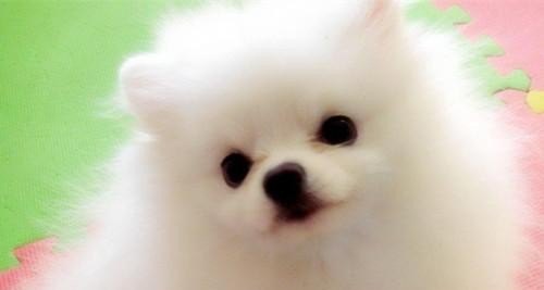 2021凯美瑞10月销量排行榜,凯美瑞汽车销量排名