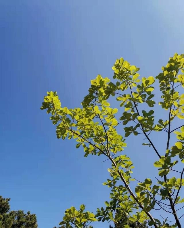特别想一个人怎么办_太想念一个人要怎么办