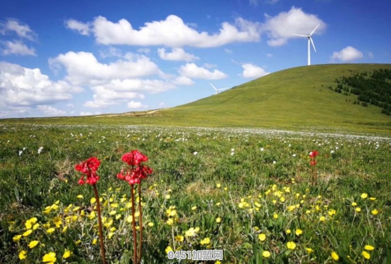 夏天到了，选一个北方城市区旅游，你会选哪个