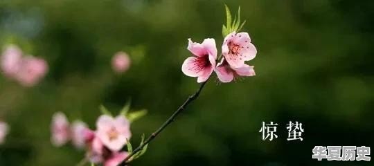 惊蛰为什么要吃梨 - 华夏历史