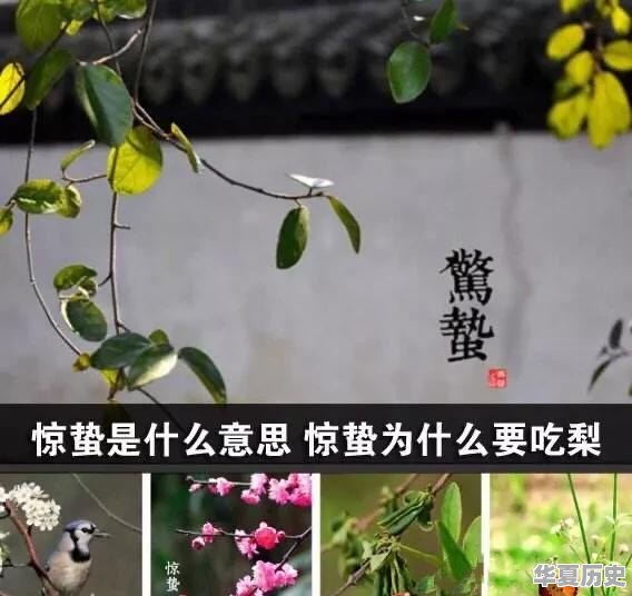 惊蛰为什么要吃梨 - 华夏历史