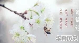 惊蛰为什么要吃梨 - 华夏历史