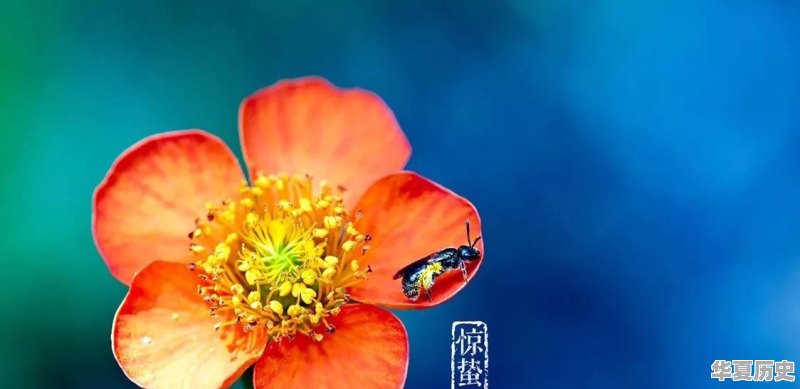 惊蛰为什么要吃梨 - 华夏历史
