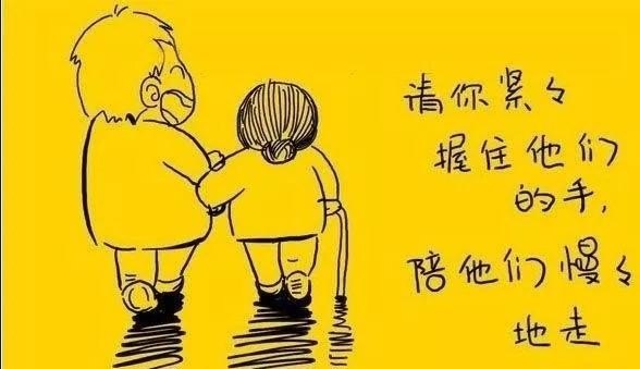 仓鼠右手断了怎么办