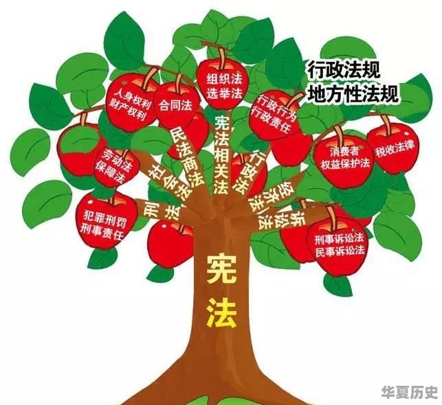宪法和法律有什么区别 - 华夏历史