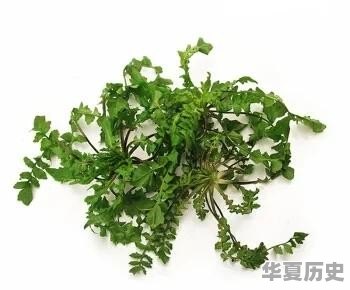 用一种小吃来形容你的家乡，你会用什么 - 华夏历史