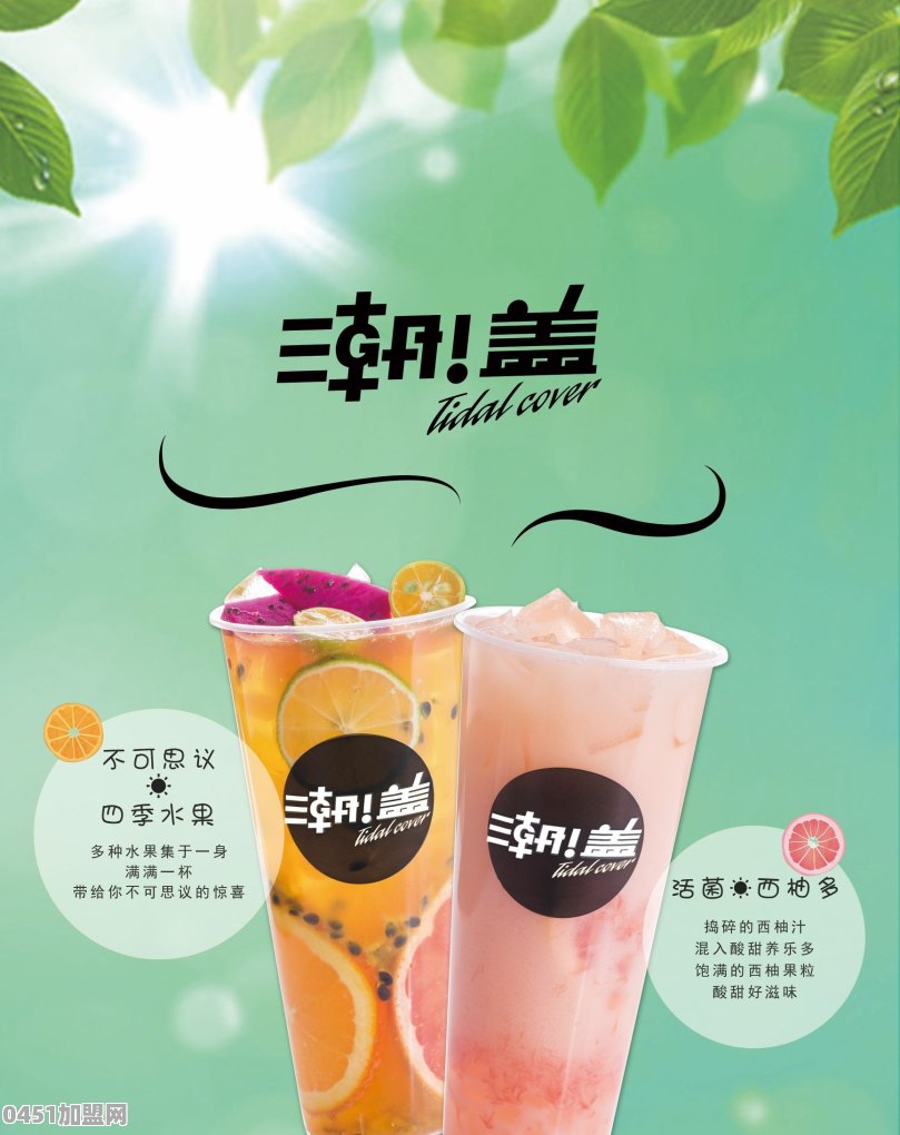哪些奶茶店可以加盟