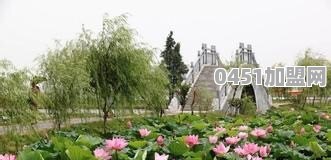 大连的疫情发展这么迅速，是什么原因导致的