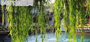 大连的疫情发展这么迅速，是什么原因导致的
