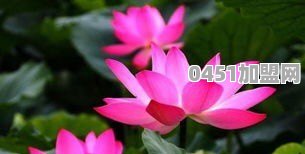 大连的疫情发展这么迅速，是什么原因导致的