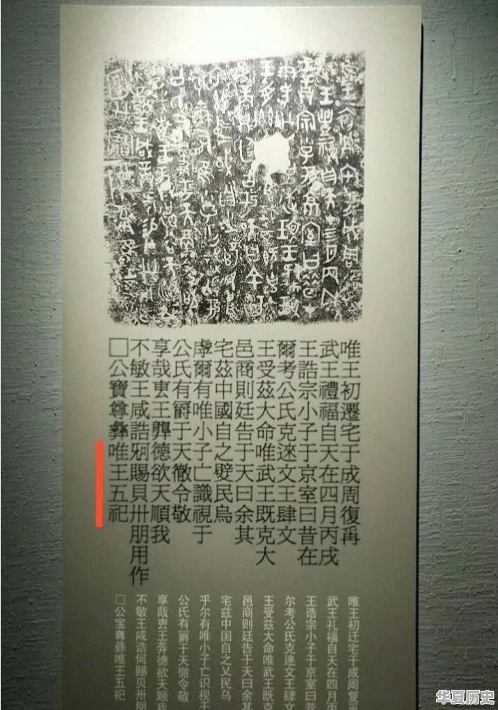 历史上被赶鸭子上架当皇帝的有哪些 - 华夏历史