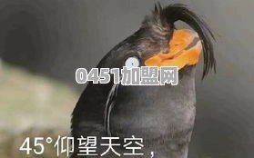你听过最沙雕的经典语录是神马
