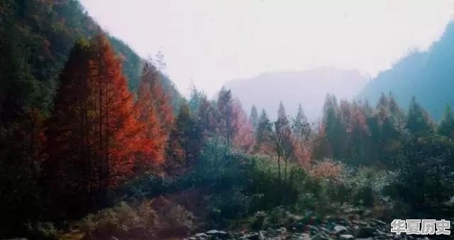 秋天太短，重庆有哪些赏秋景的好地方 - 华夏历史