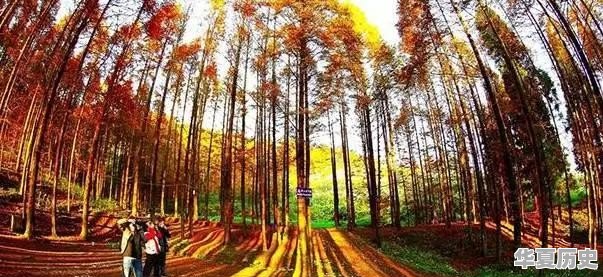 秋天太短，重庆有哪些赏秋景的好地方 - 华夏历史