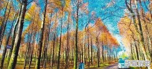 秋天太短，重庆有哪些赏秋景的好地方 - 华夏历史