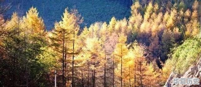 秋天太短，重庆有哪些赏秋景的好地方 - 华夏历史