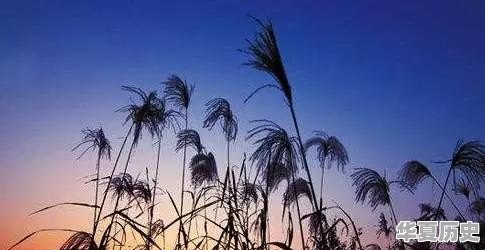 秋天太短，重庆有哪些赏秋景的好地方 - 华夏历史