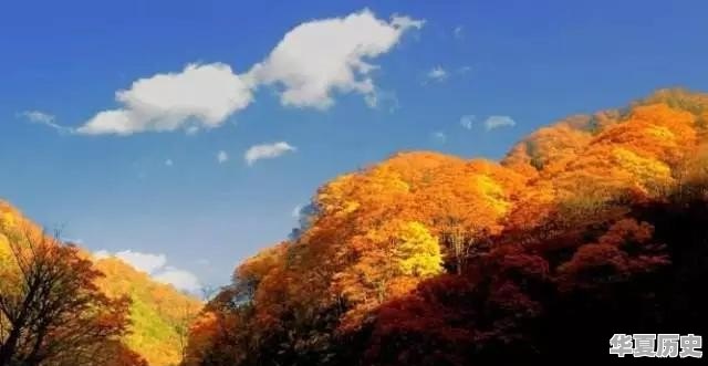 秋天太短，重庆有哪些赏秋景的好地方 - 华夏历史