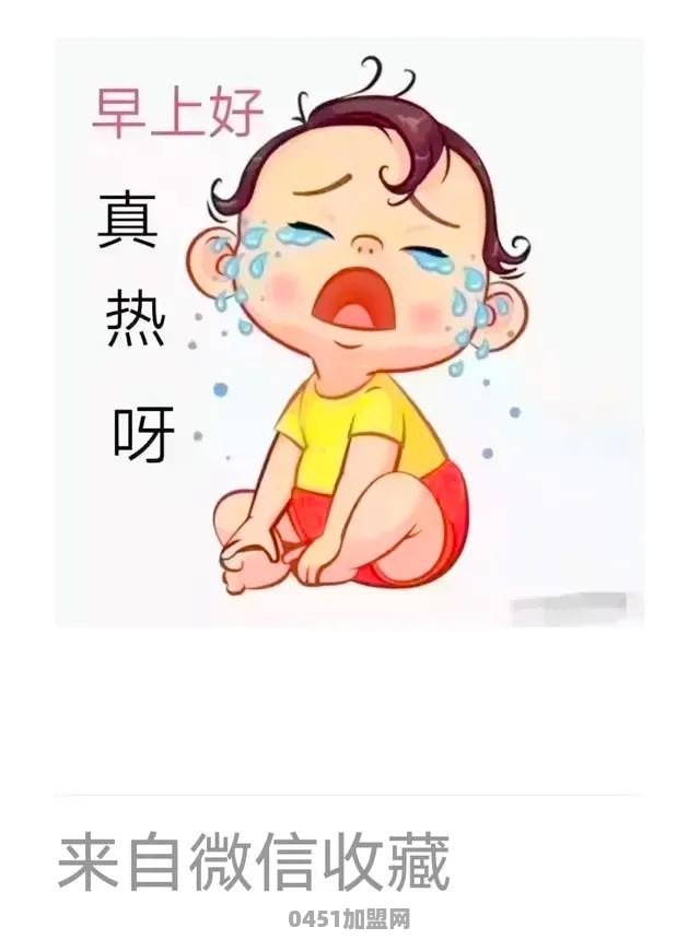 你们最欣赏哪位网红