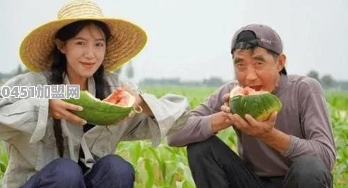 你们最欣赏哪位网红