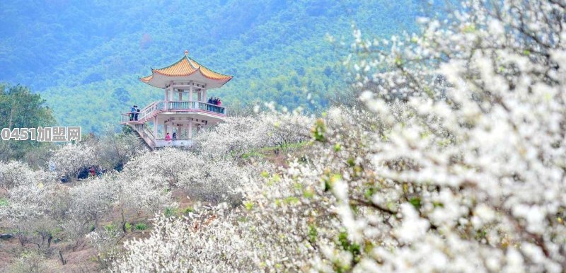 一个“清醒”的女人，绝不会花哪些“面子”钱