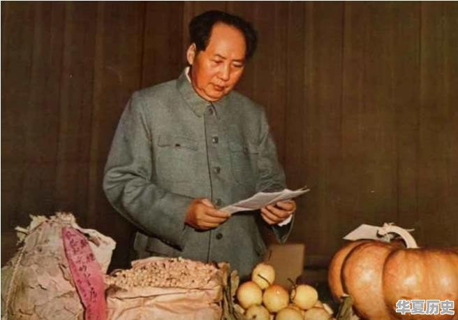 中央电视台拍过哪些相对著名（优秀）的纪录片 - 华夏历史