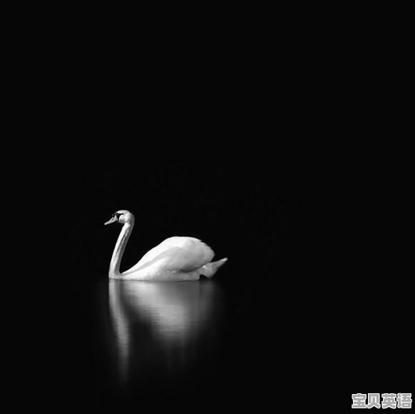 写作业时 适合听什么音乐