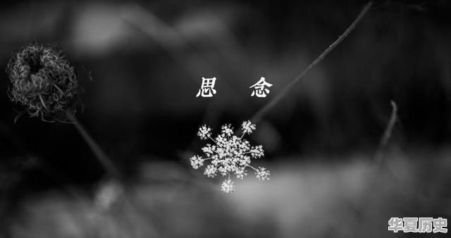 女人最怕跟什么样的男人 - 华夏历史