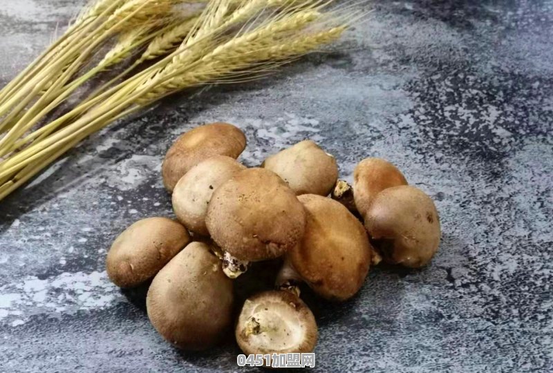 香菇汤怎样做