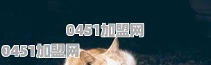 你听过哪些可爱到炸的句子