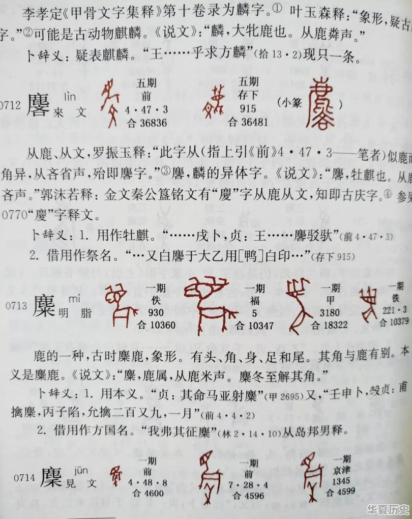 就想问问你们有没有遇到过变态 - 华夏历史