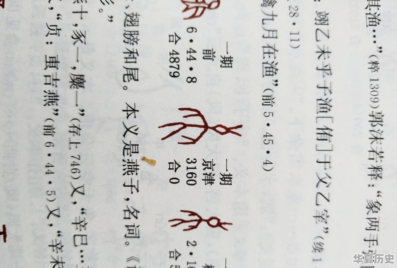就想问问你们有没有遇到过变态 - 华夏历史