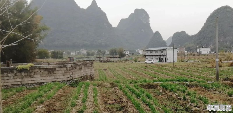 分享一张你认为最美的家乡照片，它的故事和分享理由是什么 - 华夏历史