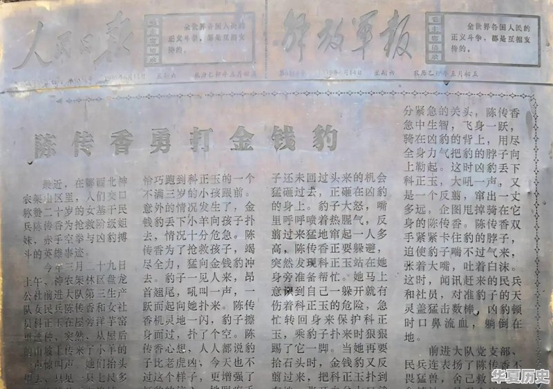 武松打虎，现实中这样的情形有可能成功吗？ - 华夏历史