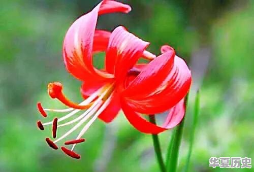 潍坊地毯厂的宿舍什么时候拆迁 - 华夏历史