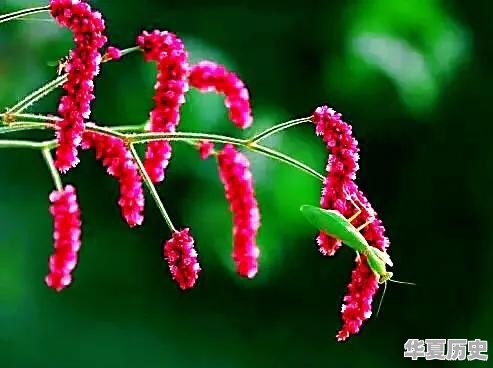 潍坊地毯厂的宿舍什么时候拆迁 - 华夏历史