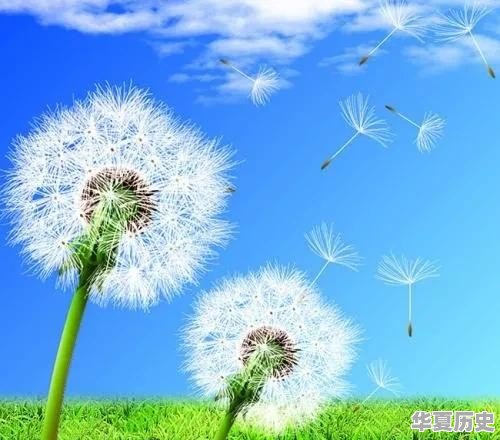 潍坊地毯厂的宿舍什么时候拆迁 - 华夏历史