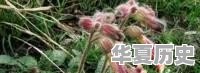 潍坊地毯厂的宿舍什么时候拆迁 - 华夏历史