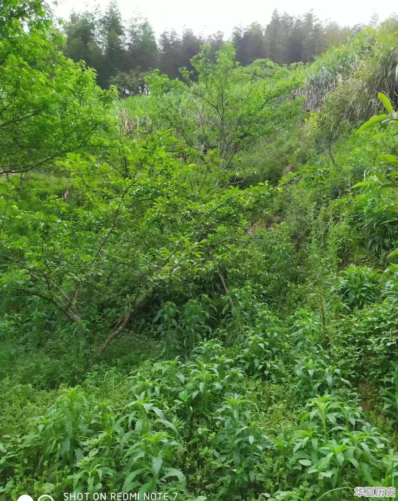 潍坊地毯厂的宿舍什么时候拆迁 - 华夏历史