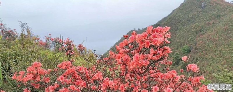 潍坊地毯厂的宿舍什么时候拆迁 - 华夏历史