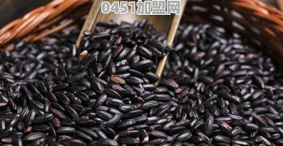 黑米怎样煮