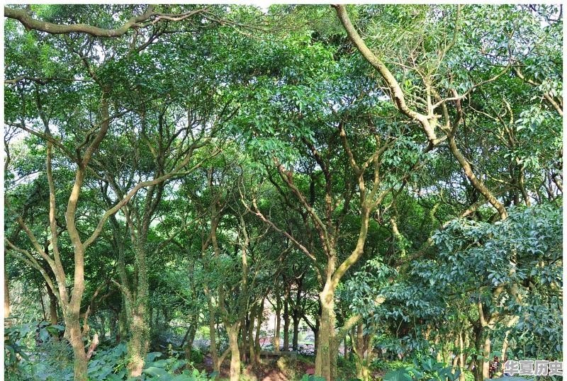 事物是怎样变化的