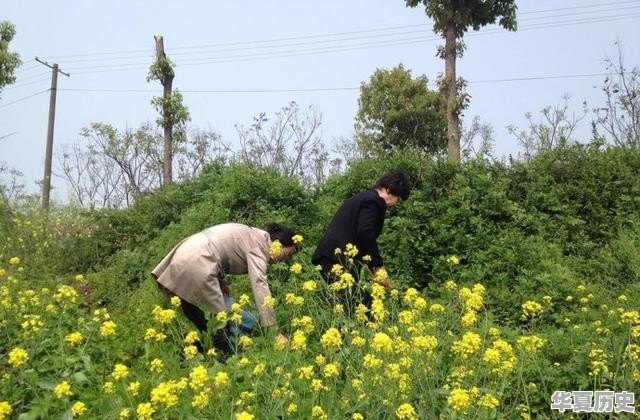清明节，农村上坟的风俗你知道多少 - 华夏历史