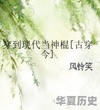 有没有一些在电脑上玩，可以学历史的游戏 - 华夏历史