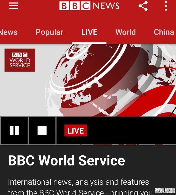 有哪些适合提高自己的英语学习网站 - 宝贝英语