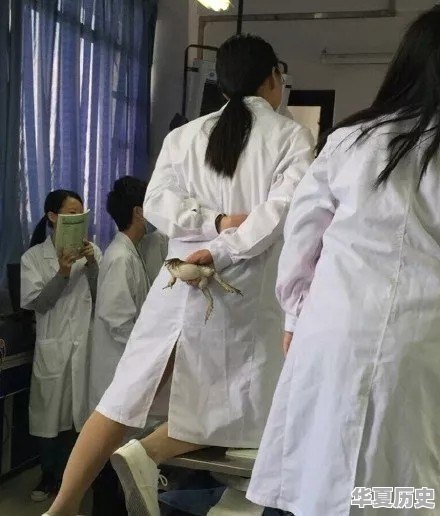 我儿子不想学习物理，想选历史，准备学医可行吗 - 华夏历史