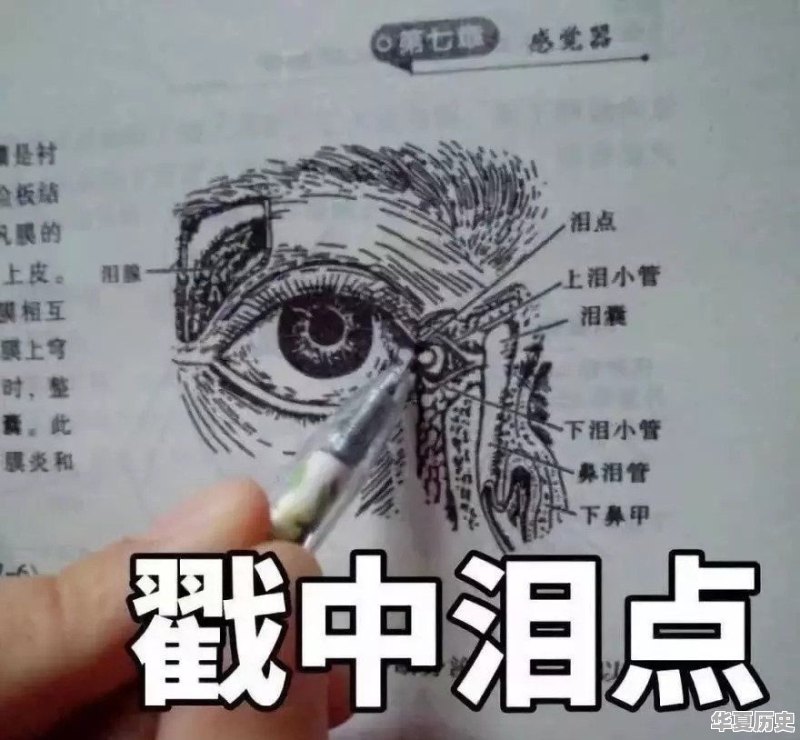 我儿子不想学习物理，想选历史，准备学医可行吗 - 华夏历史
