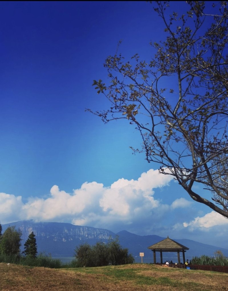 云南最火十大景区排名