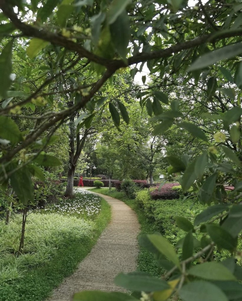 云南最火十大景区排名