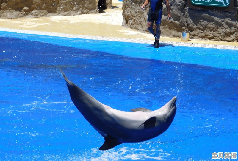 麦吉尔生物化学怎么样